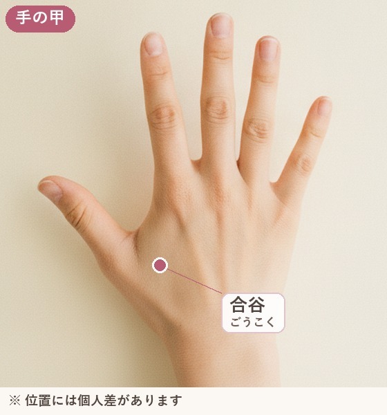 手の甲の写真に、合谷の位置を示した図